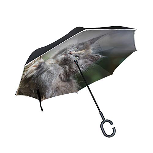 ISAOA Gro?e umgekehrten Regenschirm windfest Double Layer, umgekehrt Faltbarer Regenschirm f¨¹r Auto Regen, Au?enbereich, c-Shaped-Gute Katze, Baum mit Regenschirm f¨¹r Damen und Herren von ISAOA