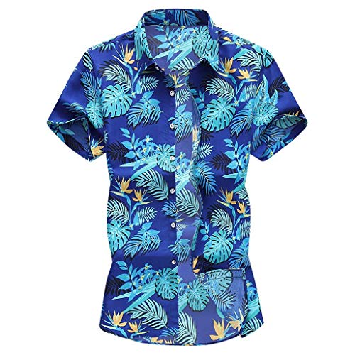 ITISME HOMME TOP Needra 12928 von ITISME HOMME TOP