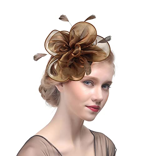 ITODA Fascinator Hut Damen Haarschmuck Organza Pillbox Hut mit Feder Hochzeitshut 1920s Vintage Royal Damenhut mit Clip Stirnband Blumen Haarspange Braut Hochzeit Partyhut Kirche Teeparty von ITODA