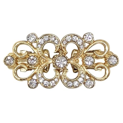 Clips Für Kleidung 2 Stück Vintage Pullover Swirl Clip Cape Mantel Clips Retro Strickjacke Clip Schalkragen Verschluss Kleid Hemd Brosche Clip for Frauen Mädchen(H) von ITRHJTGP