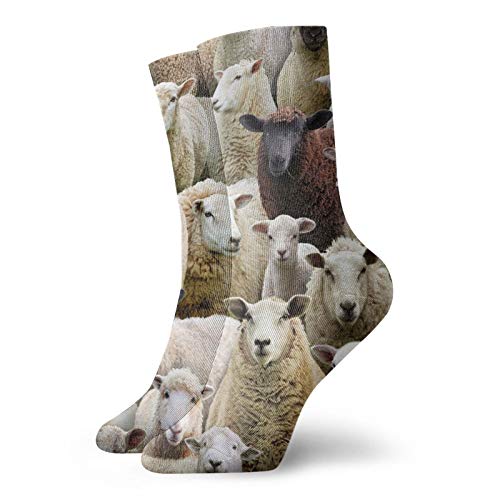 IUBBKI Farm Animals Schaf Ziege Herren Damen Socken Neuheit Knöchel Socken für Athletic Wandern, Siehe Abbildung, One size von IUBBKI