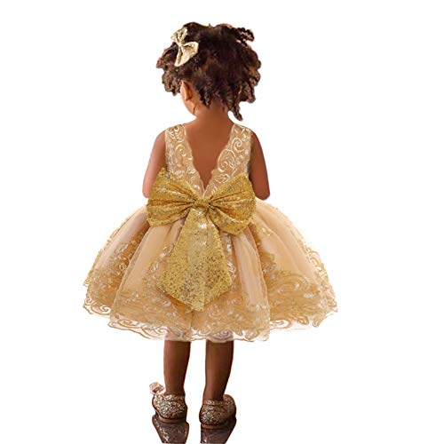 IWEMEK Mädchen Stickerei Blume Spitze Tüllkleid Ärmellose V-Rücken Pailletten Bowknot Prinzessinkleid Brautjungfer Hochzeit Feierliche Party Geburtstag Kommunion Taufe Kleid #B: Champagner 3-4 Jahre von IWEMEK