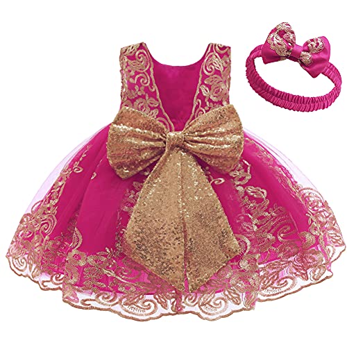 IWEMEK Mädchen Stickerei Blume Spitze Tüllkleid Ärmellose V-Rücken Pailletten Bowknot Prinzessinkleid Brautjungfer Hochzeit Feierliche Party Geburtstag Kommunion Taufe Kleid #B: Rose 0-3 Monate von IWEMEK