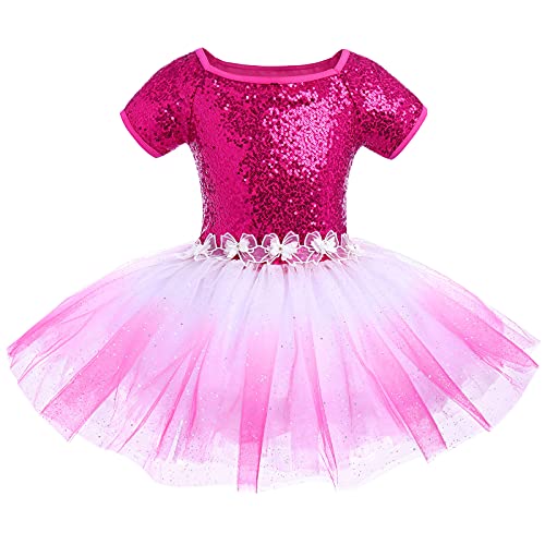 Mädchen Pailletten Balletttrikot Tutu Ballettkleid Tanzkleid Kinder Gymnastik Ballettanzug Tanzbody mit Tüllrock Ballettkleidung Ballerina Kostüm Kurzarm Farbverlauf Tanzkleidung Rose 5-6 Jahre von IWEMEK