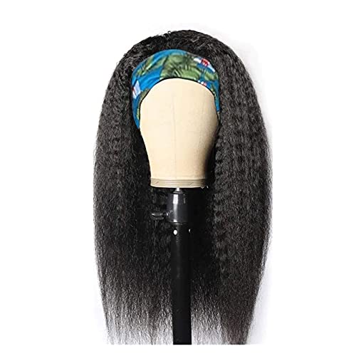 Perücke Glueless Perücken for schwarze Frauen Maschinen Made Wigs16-28 Zoll Wig (Size : 22inches) von IXART