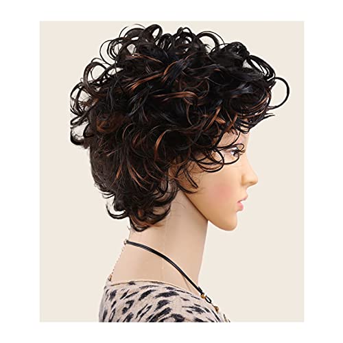 Perücke Lockige Perücken for Frauen kurze Perücke schwarzes lockiges Haar gemischt braun Afro Perücke synthetische Faserhaar-Cosplay-Perücke Wig von IXART