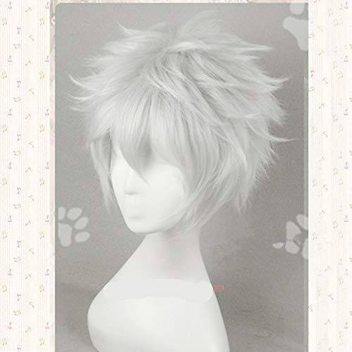 ydound Anime Coser wig Gintama Gintoki Sakata Cosplay Wig Short Silver White Heat Resistant Synthetic Hair Perucas Wigs + Wig Cap von IXITAB