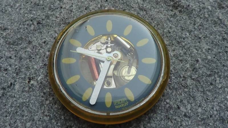 Swatch Swiss Catcher in Der Rhye von Iboyart