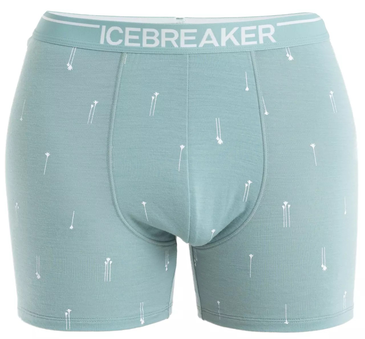 Anatomica Boxers Men von Icebreaker