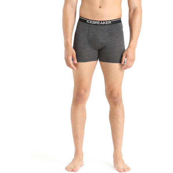 ICEBREAKER Herren Funktionsunterhose / Unterhose "Men´s Anatomica Boxers" von Icebreaker