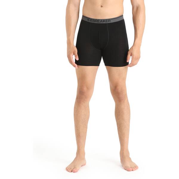 ICEBREAKER Merino Herren Unterhose Anatomica von Icebreaker