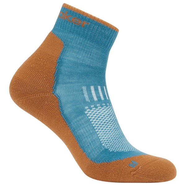 Icebreaker - Merino Hike+ Light Mini - Wandersocken Gr L bunt von Icebreaker