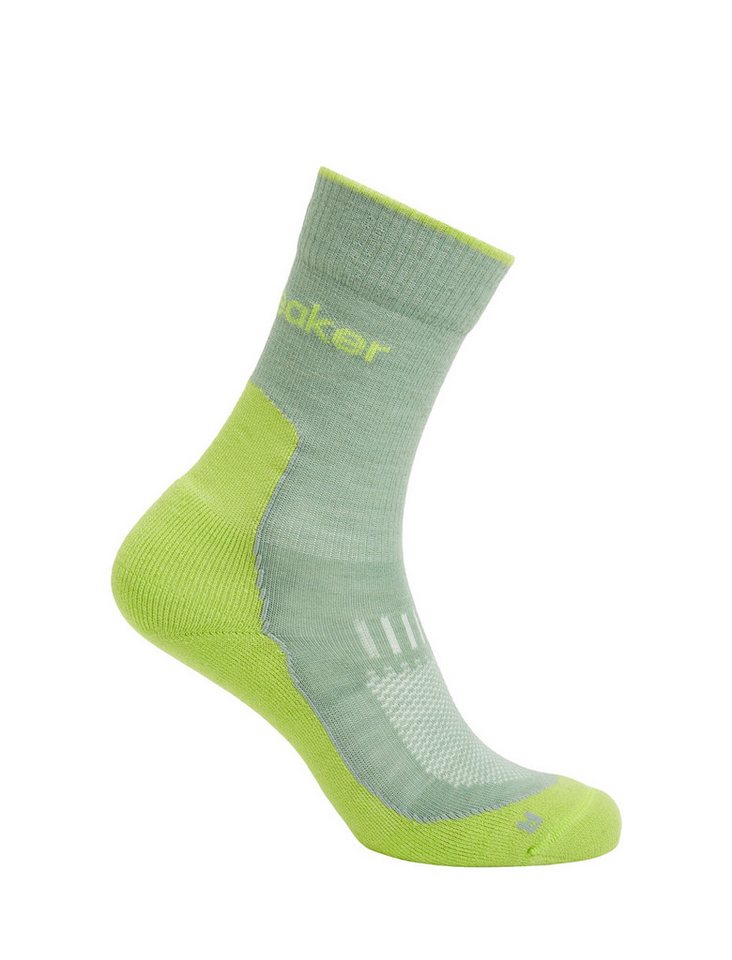 Icebreaker Wandersocken Crew Hike+ Light (Merinowolle, strapazierfähig, leicht) grün Herren von Icebreaker