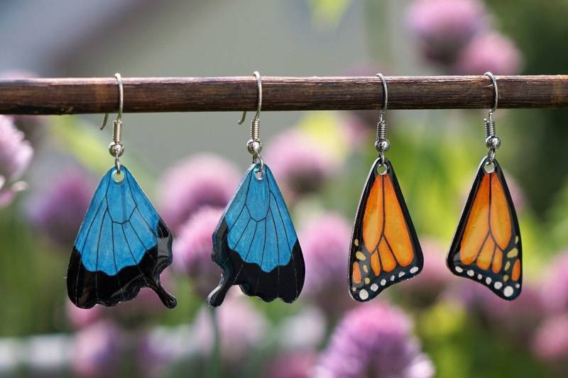 Schmetterlingsohrringe Schmetterlingsflügel Ohrringe Handgemacht - Monarchfalter Morphofalter Odysseusfalter Hängeohrringe Blau Orange von Icemaden