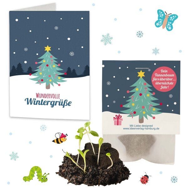 Ideenverlag Hamburg 1x Saatsterne „Tannenbaum“ mit Grußkarte | Dein Tannenbaum fürs überüberübernächste Jahr – nachhaltiges Weihnachtsgeschenk mit Fichtensamen / Adventskalender / Wichtelgeschenk Ideenverlag Hamburg 1x Saatsterne „Tannenbaum“ mit Grußkarte | Dein Tannenbaum fürs überüberübernächste Jahr – nachhaltiges Weihnachtsgeschenk mit Fichtensamen / Adventskalender / Wichtelgeschenk von Ideenverlag Hamburg