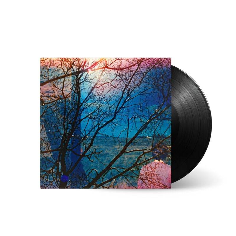 IDLEWILD von Idlewild - LP (Standard) von Idlewild