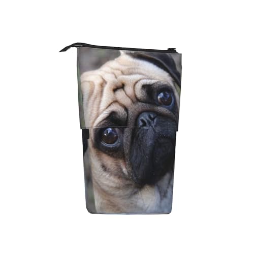 IguaTu Erweiterbares Federmäppchen mit Mops-Motiv, Teleskop-Schreibwaren-Organizer, strapazierfähiges Oxford-Gewebe, Mehrzweck-Tasche für Stifte, Make-up, Mops, Einheitsgröße, Kosmetikkoffer von IguaTu