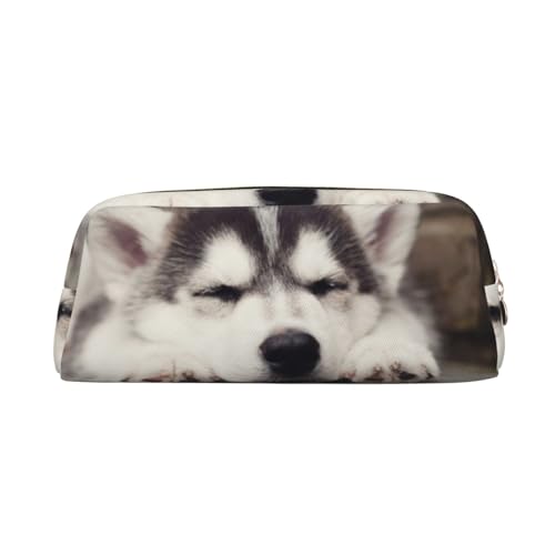 IguaTu Evil Eye Federmäppchen, Leder, Reißverschluss, dreidimensionales Federmäppchen, große Kapazität, Kosmetiktasche, Schreibwaren-Tasche, Husky-Hund, Einheitsgröße, Schulranzen von IguaTu