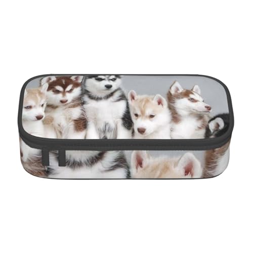 IguaTu Magisches Federmäppchen für E-Gitarre, große Kapazität, für Schule, Schreibwaren-Organizer-Tasche mit Fächern, Reißverschlusstasche, Hunde, Einheitsgröße, Kosmetikkoffer von IguaTu