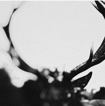 Ihsahn Ihsahn (Orchestral Version) CD multicolor von Ihsahn