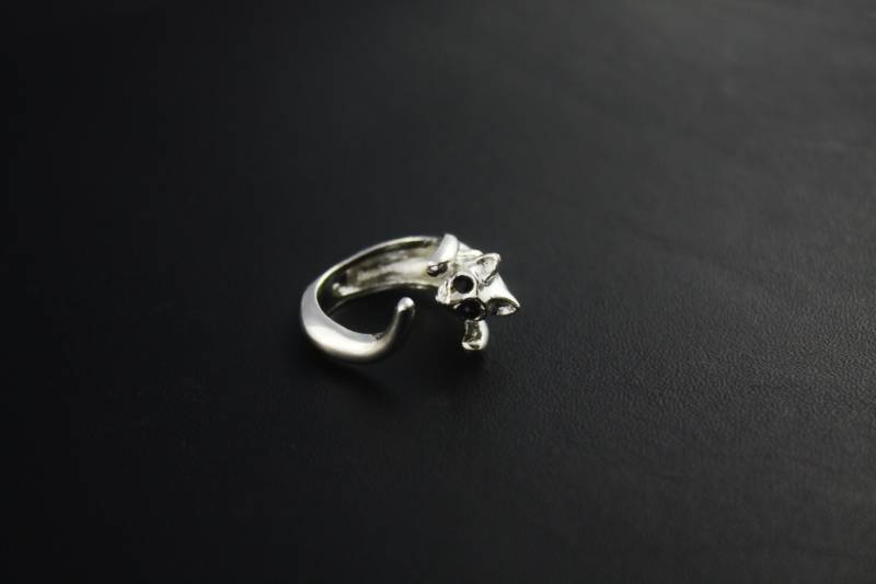 Kitty Katze Ring in Massivem Edelstahl. Verstellbarer von IllegalDesign