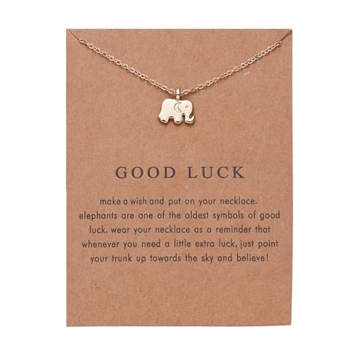 Illkjasfc Elegante Halskette mit Perlenanhänger und Karte für Frauen jeden Alters, die Stile und Raffinesse suchen, Tier-Anhänger-Halskette von Illkjasfc