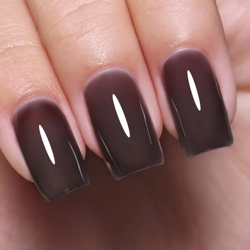 Imtiti Jelly UV Nagellack, Schwarz Transparent UV Gel Nagellack Herbst Winter Gelee Gel Nail Polish Soak Off Led DIY Nagel Kunst Starter Maniküre Salon 10ML von Imtiti