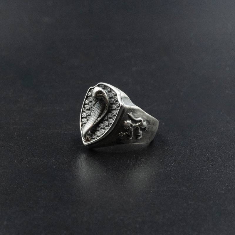 sterling Silber Herren Siegelring, Schild Und Schlangenring, Einzigartiger Chevalier Ring, Schlangenschildring, Cobra Schmuck Für Männer von InSantorini