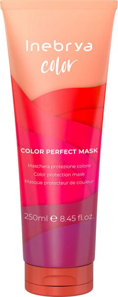 Inebrya Color Perfect Mask 250 ml von Inebrya