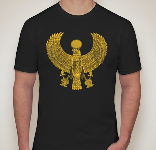 Achaemenid Falke T-Shirt Achaemenid Falke T-Shirt von InfiniteeApparel