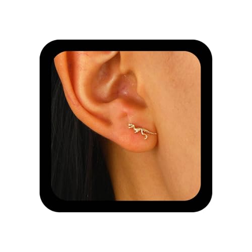 Inilbran Boho Dinosaurier Winzigen Tyrannosaurus Ohrring Vintage Niedlichen Dino Ohrringe Lustig Dinosaurier Dino Tier Ohrstecker Für Frauen von Inilbran