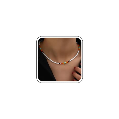 Inilbran Boho Regenbogen Samen Perlen Halskette Choker Vintage Samen Perlen Choker Halskette Bunt Reis Perlen Halskette Mehrfarbig Samen Perlen Halskette Kette Schmuck Für Frauen Und Mädchen von Inilbran