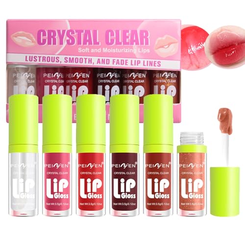 Hydrating Lippenöl Lip Gloss Set,Long Lasting Moisturizing Shiny Tinted Lip Glow Fat Oil with Big Brush Head,6 Stück Feuchtigkeitsspendender Lipgloss Fresh Lippen Care Oil for Women(6PCS) von Inkjoy