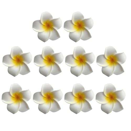 Ipetboom 10 Stück Modische Hawaiianische Blumen-Haarspangen Für Damen Haarschmuck Für Hochzeitsfeier Urlaub Strandfoto. von Ipetboom