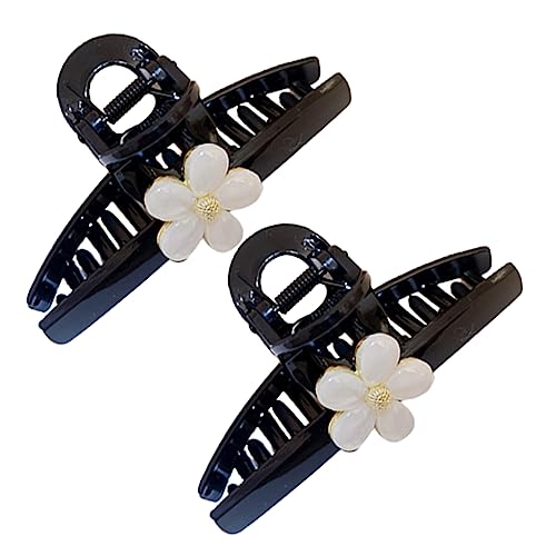 Ipetboom 2stücke Große Acryl Haarklammern Für Frauen Dickes Langes Haar Dekorative Haaraccessoires Slip Klemmen Für Haartypen Für Alltag Und Feiern von Ipetboom