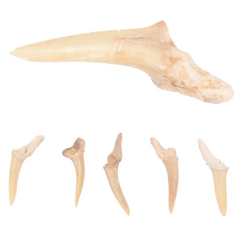 Ipetboom 6 Stück Haifischzahn Halsketten Handgefertigt Tribal Stil Langlebig Sicher Geschenkidee für Jungen Mädchen Geburtstag Schmuck Beach Party Alltag von Ipetboom