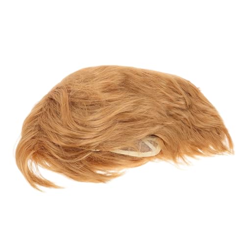 Ipetboom Goldene Herren Perücke Kurz Synthetisch Atmungsaktiv für Kostüm und Rollenspiele Halloween Party Cosplay von Ipetboom
