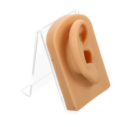 Ipetboom Weiches Silikon Ohrmodell mit Acrylständer Langlebiger Ohrringhalter für Piercing Übung und Schmuckpräsentation Verschleißfestes Ohrdisplay für Damen und Schmuckaufbewahrung von Ipetboom