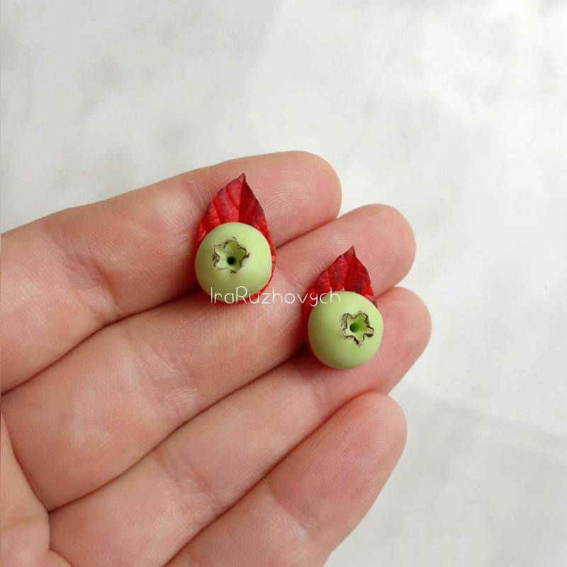 Blaubeer Ohrstecker, Blätter, Blatt, Grün, Rot, Schmuck Handgemacht, Polymer Clay von IraRuzhovych