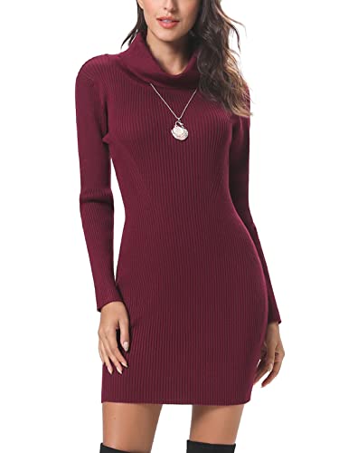 Irevial Damen Rollkragen Strickkleid Elegant Pulloverkleid Langarm Pullikleid Winterkleid Lang Strickpullover Minikleid Pullover für Herbst Winter von Irevial