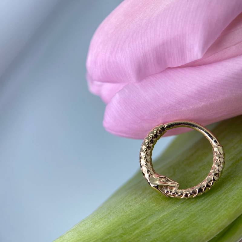 Feinde Schmuck Ouroboros Klapp Segment Ring 14Kt Gelbgold 16G/1, 2 Mm X 10 von IrisBodyJewellery