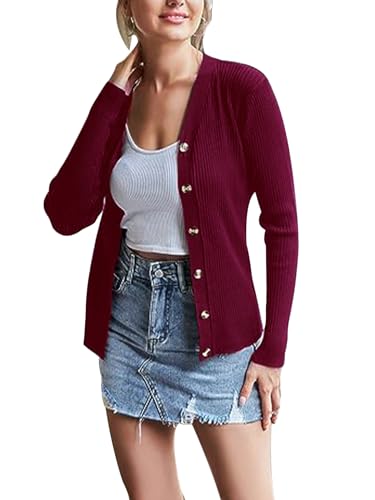 Irypulse Damen Langarmshirt V-Ausschnitt Sexy Casual Langarm Tops Slim Fit Pullover Basic Sanft Frühling Herbst(03-Burgunderrot-XL) von Irypulse