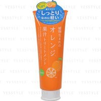 Ishizawa-Lab - Plant-Born Orange Scalp Treatment 250g von Ishizawa-Lab