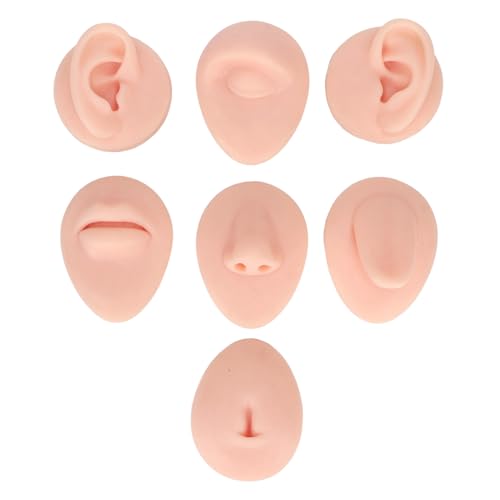 Itonash Soft Silicon -Körperteilmodell, Silikon -Mundmodell, Ideal für Anfängerpraxis, mit Ausstellungsregal, Praktisch und Bequem Zum Anzeigen von Schmuck oder Zur Anzeige von Effekten (Leichter) von Itonash