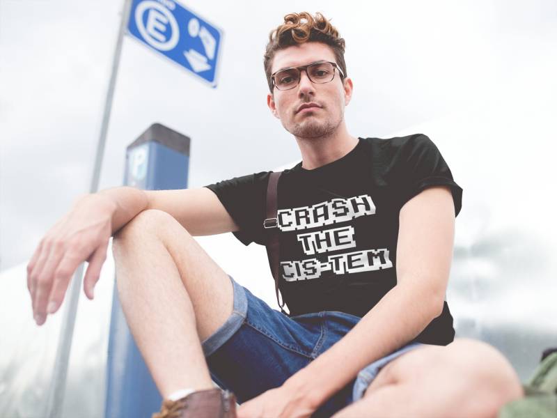 Lgbtq+ Pride - Crash The Cis-Tem Unisex T-Shirt Trans Non Binary Queer Gender Fluid Androgyn Sie/Them von ItsPerfectlyQueer
