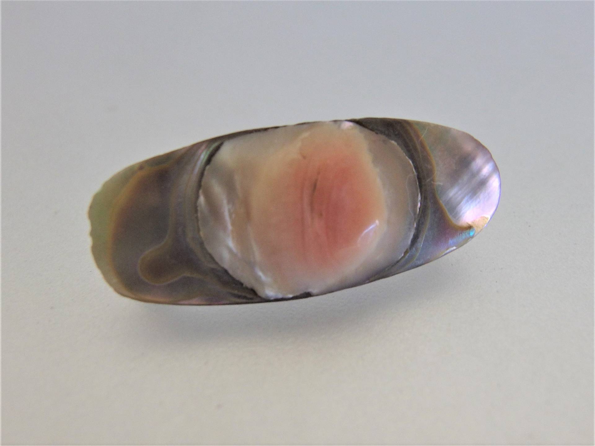 Vintage 1970Er Jahre Perlmutt Blister Brosche Anstecknadel Vintage 1970Er Jahre Perlmutt Blister Brosche Anstecknadel von IvyCottage2U
