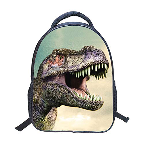 Kleinkind Rucksack Jungen Kindergarten Schulrucksäcke, Kinder 3D Dinosaurier Schulranzen Vorschulrucksack Leicht Schultasche für Kinder 2-5 Jahre von IvyH