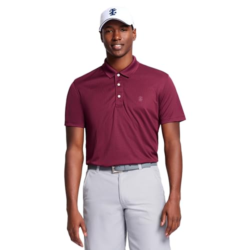 IZOD Herren Performance Golf Grid Polo Polohemd, Feige, L von Izod