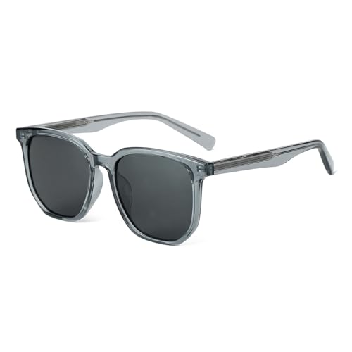J&L Glasses Retro Polarisiert Sonnenbrille Damen Herren Klassische Unisex Fahrerbrille mit UV400, Fensterglas für Golf,Autofahren, Outdoor Sport (transparent grau + schwarz) von J&L Glasses