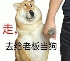 JA DENGIOR Hen JA DENGIOR Hen von JA DENGIOR